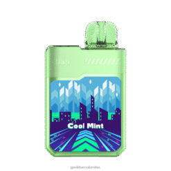 Geek Bar vaporizador desechable exuberante digiflavor 4HPT673 menta fresca | Geek Bar Colombia