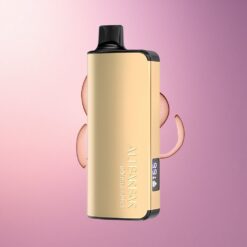 Alibarbar Ingot 9000 Puffs Bosque Negro Mega 2350mAh 22ml